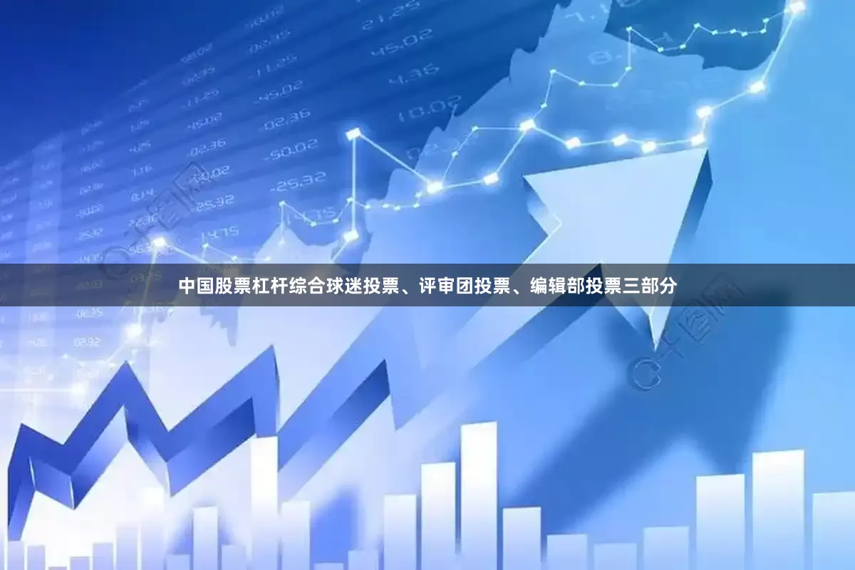 中国股票杠杆综合球迷投票、评审团投票、编辑部投票三部分