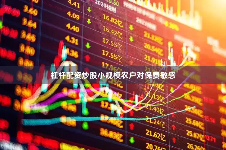 杠杆配资炒股小规模农户对保费敏感