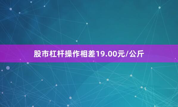 股市杠杆操作相差19.00元/公斤