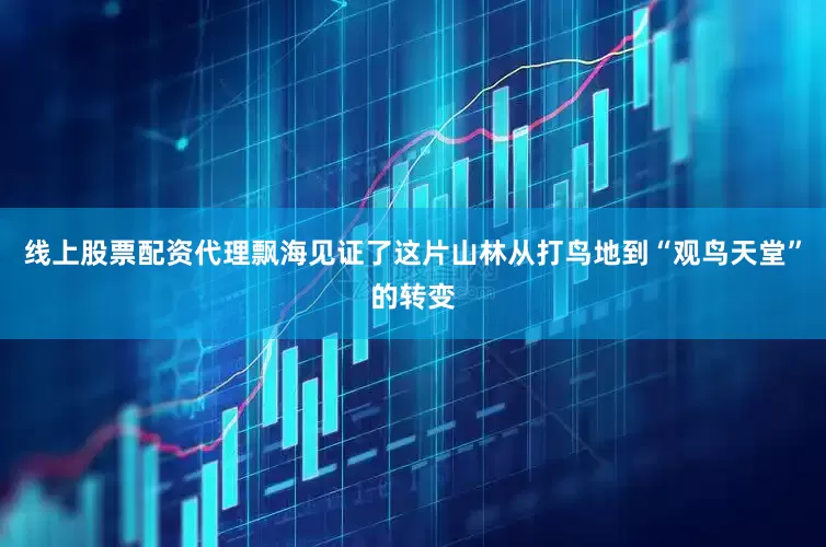 线上股票配资代理飘海见证了这片山林从打鸟地到“观鸟天堂”的转变