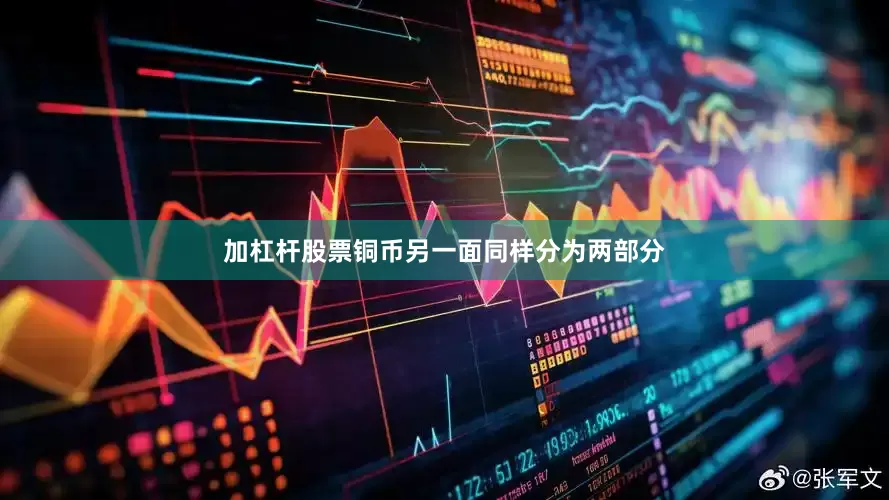 加杠杆股票铜币另一面同样分为两部分